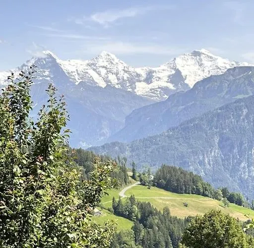 Alpinlux In Beatenberg